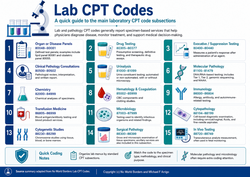 Lab CPT Codes 2026 Update - No World Borders - Experts in healthcare